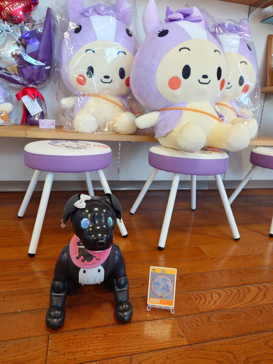らいこん　CampとCameraと宝くじとaibo tweet media