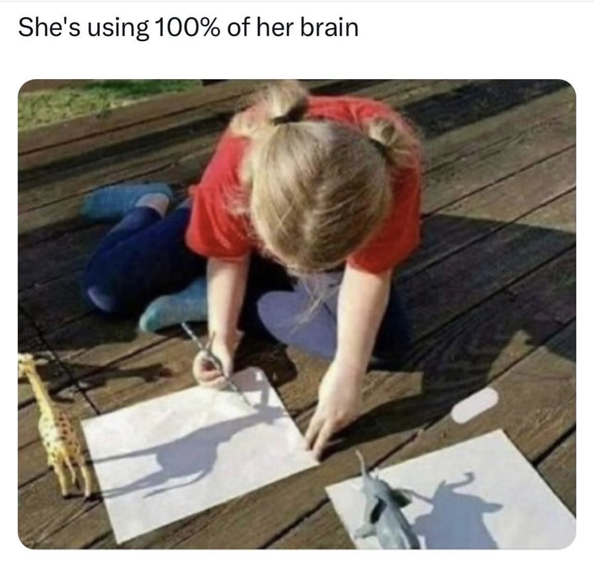 Spill The Memes tweet media