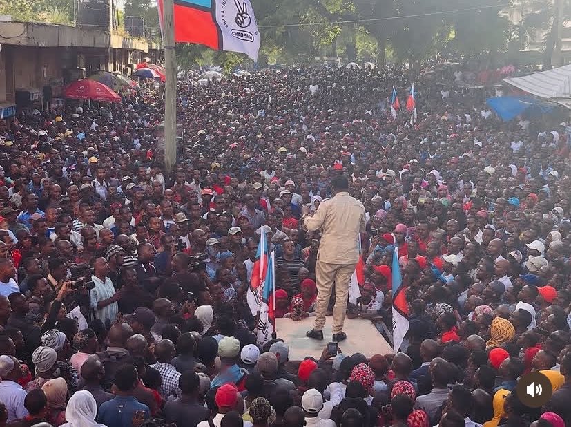 Maria Sarungi Tsehai tweet media