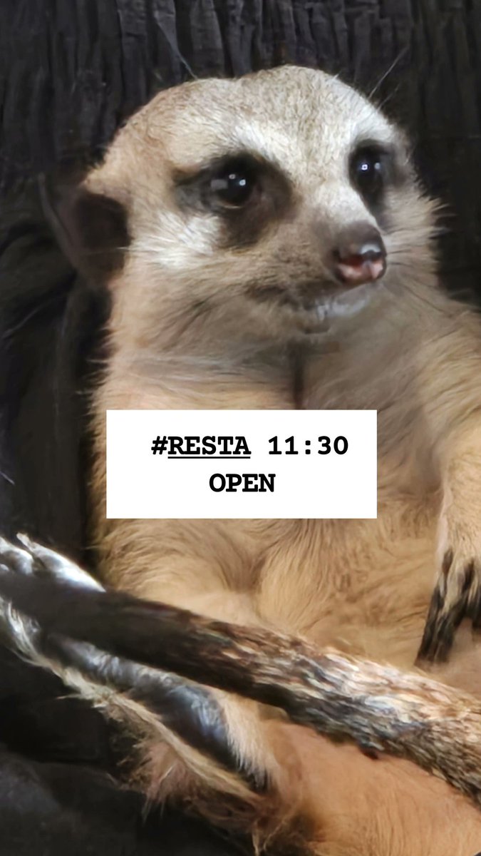 RESTA西九条　Cafe&Music tweet media