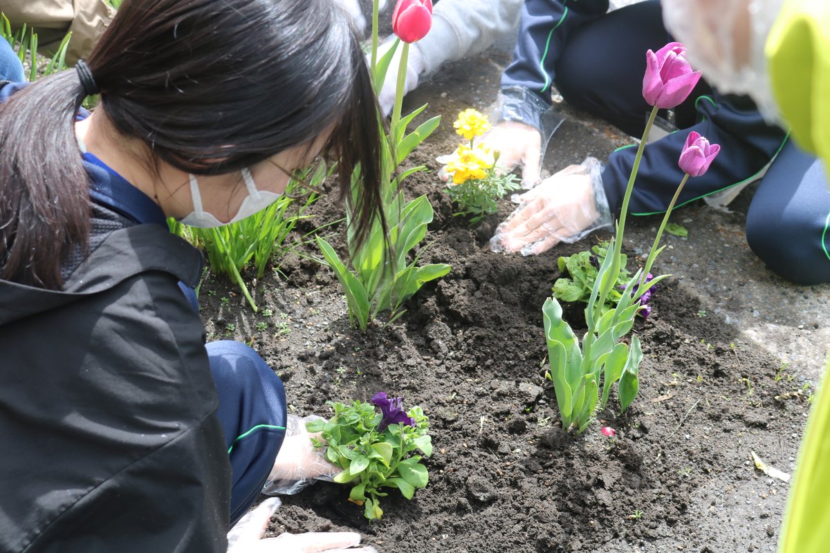 sapporohokuto's tweet photo. 5月9日(土)に花植え・清掃ボランティアを実施しました。町内の方々と協力し、��天ではあったものの、約60名の生徒が集まって活動しました。 https://t.co/OcMZnwsGZC