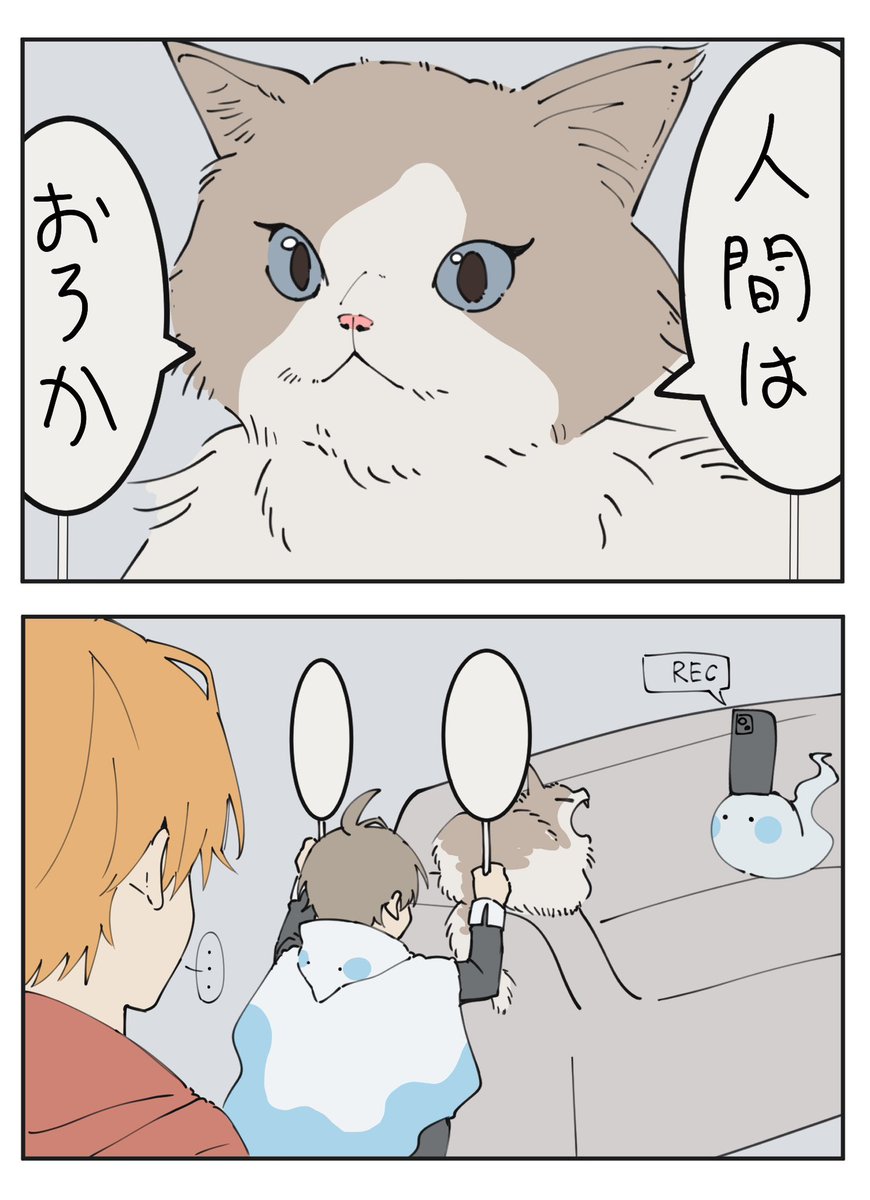 きぅ。 (@nikukyuu5678) / Posts / X