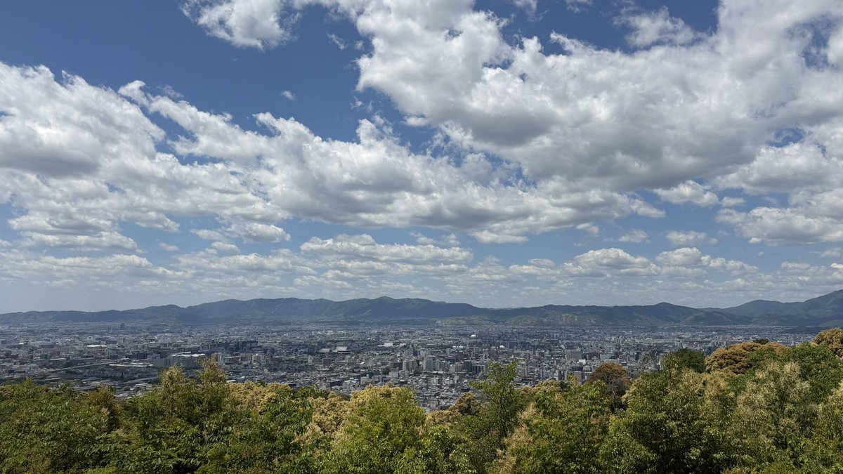 ムーンライト大阪 tweet media