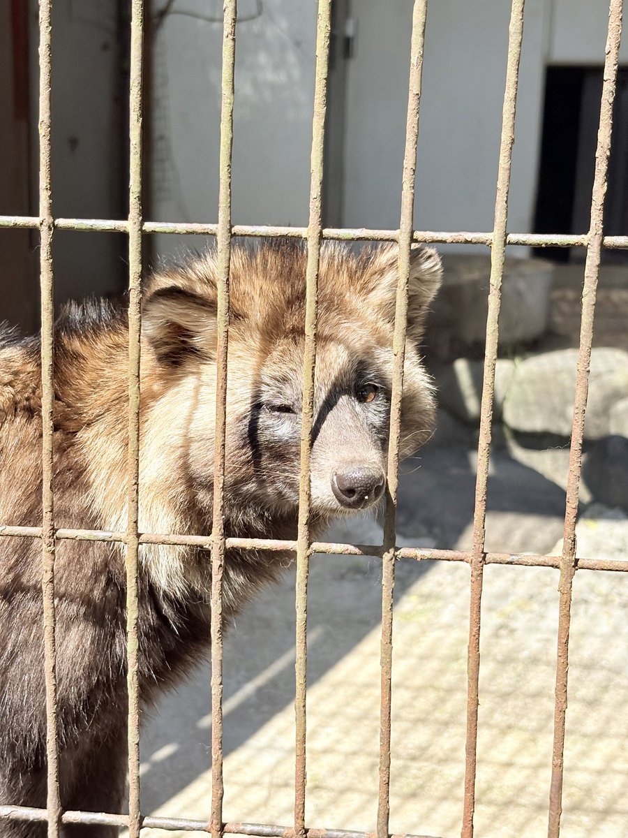 _H4MU_chan's tweet photo. 正解は愛媛でした~！🍊⸒⸒

ヒントのは
道後温泉と今治タオルとしまなみ海道！

写真はえひめの動物園だよ~🐘
動物さんたちもおすそわけ>⩊<✨ https://t.co/7ca1eGbKSE