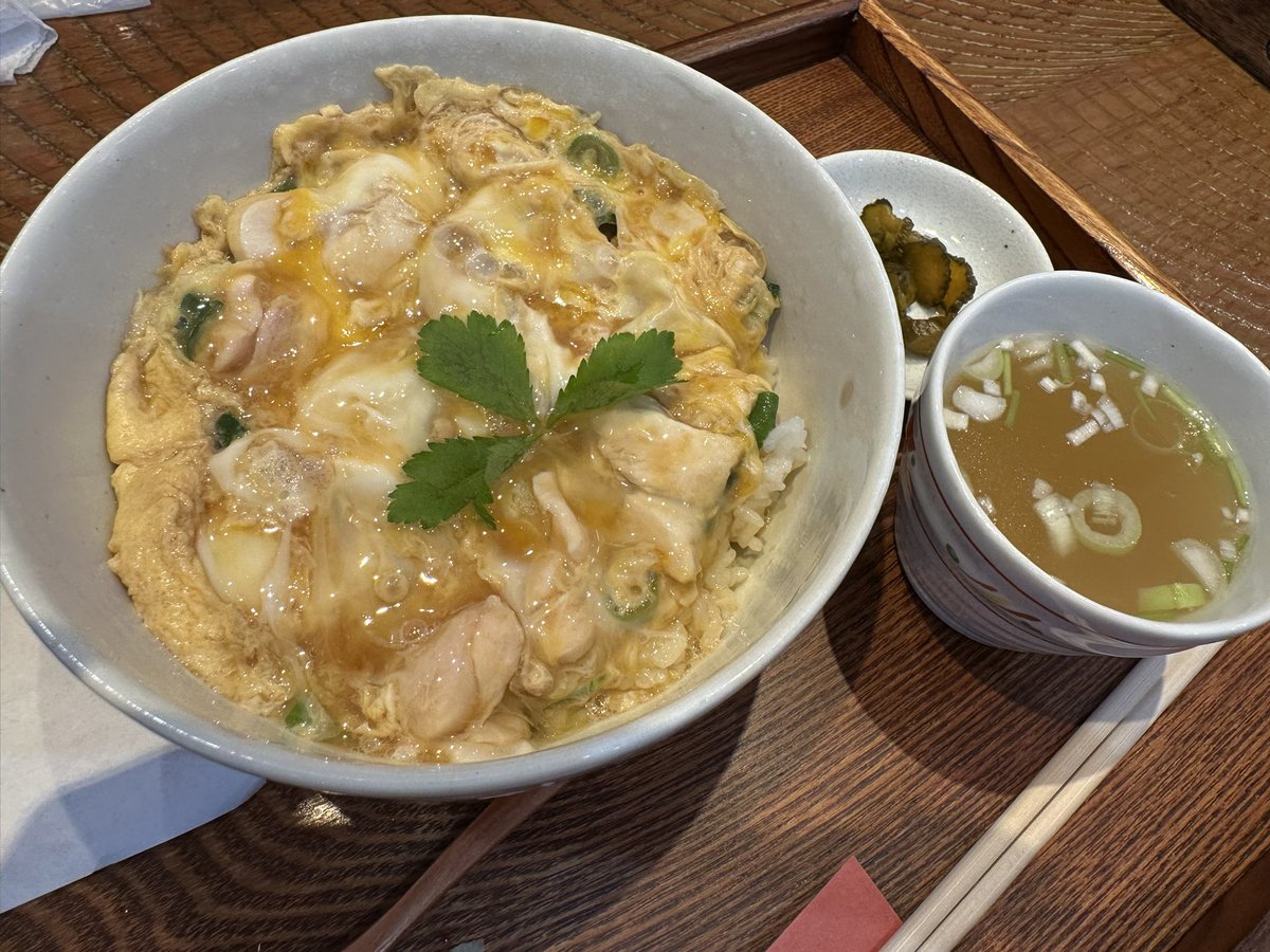 _shinyliner_'s tweet photo. キャンプ前に親子丼で腹ごしらえ。うんまぁ…🐓
#suigo https://t.co/uEn8ZXqXMu