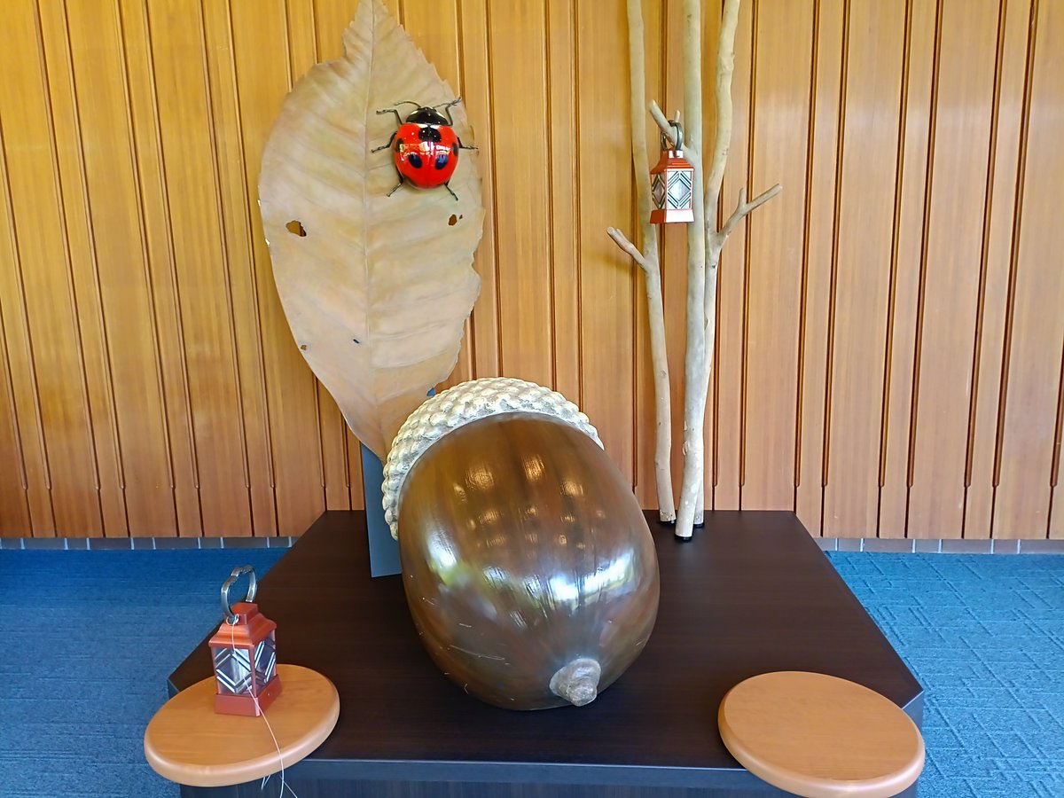 Topasei's tweet photo. 万博住友館のレガシー展示。映像は撮影禁止だけど見れば思い出した。森の中も歩いたなあ😅 #アフター万博 #住友館 https://t.co/qgvXGXIQBu