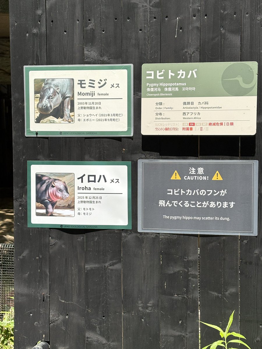ひろすけ tweet media