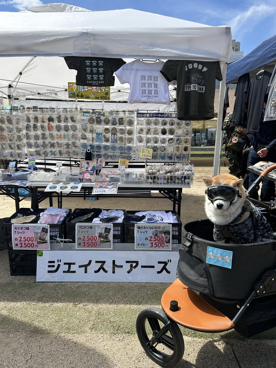 tarokusho's tweet photo. 素敵なワッペンありがとうございます🐕

@J_STORES_ https://t.co/73ZqnMggv3
