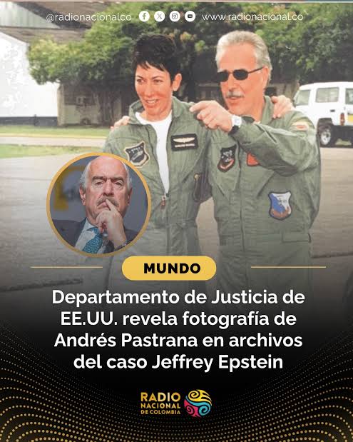 Destripando Bobos tweet media