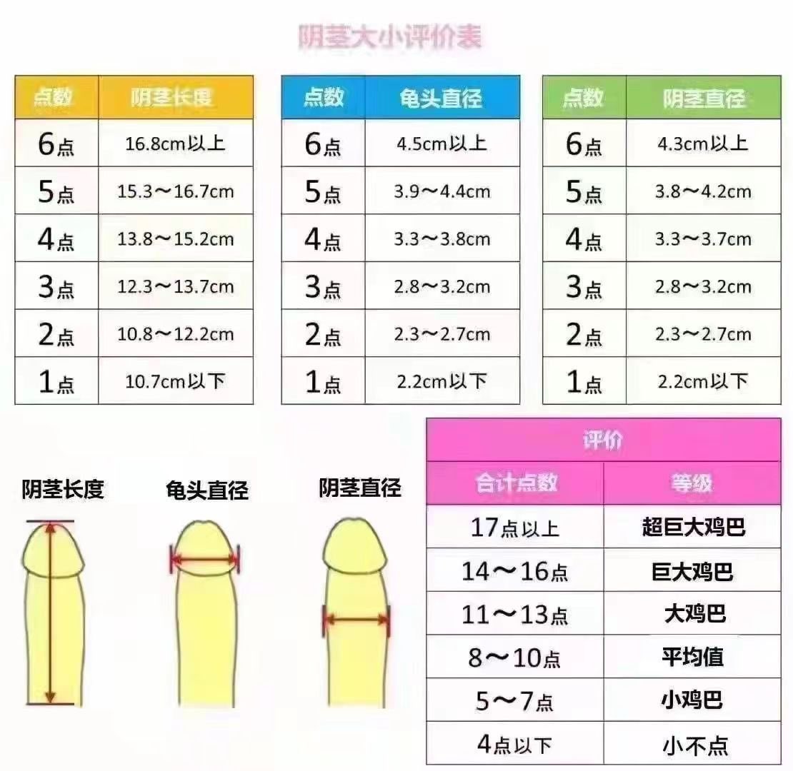 吉欧老师2 tweet media