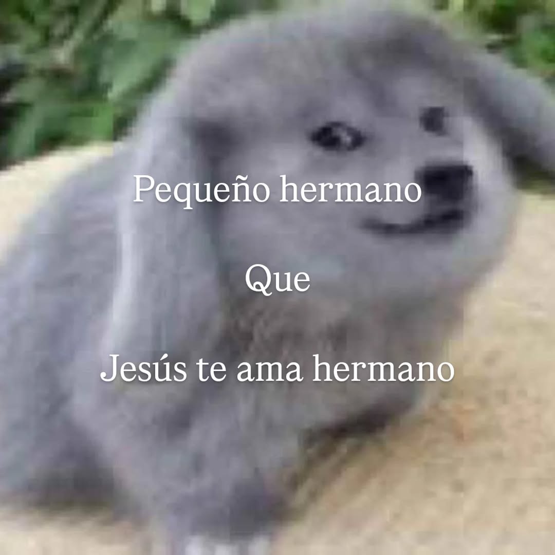 Maestre Mapaxito tweet media
