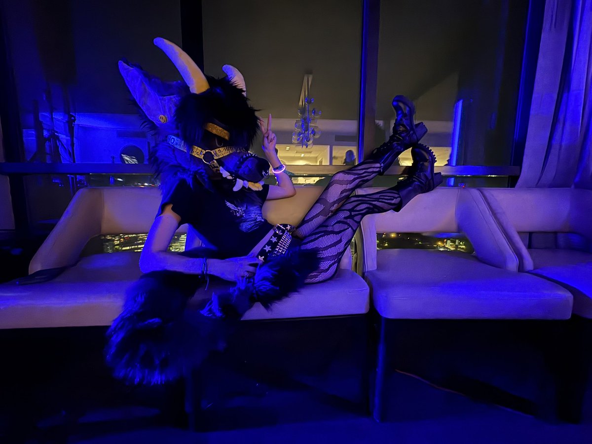MACRODERGY's tweet photo. ❕TURN UP!🪩

#fwa #furryweekendatlanta #furry https://t.co/NnxRPHiGxA