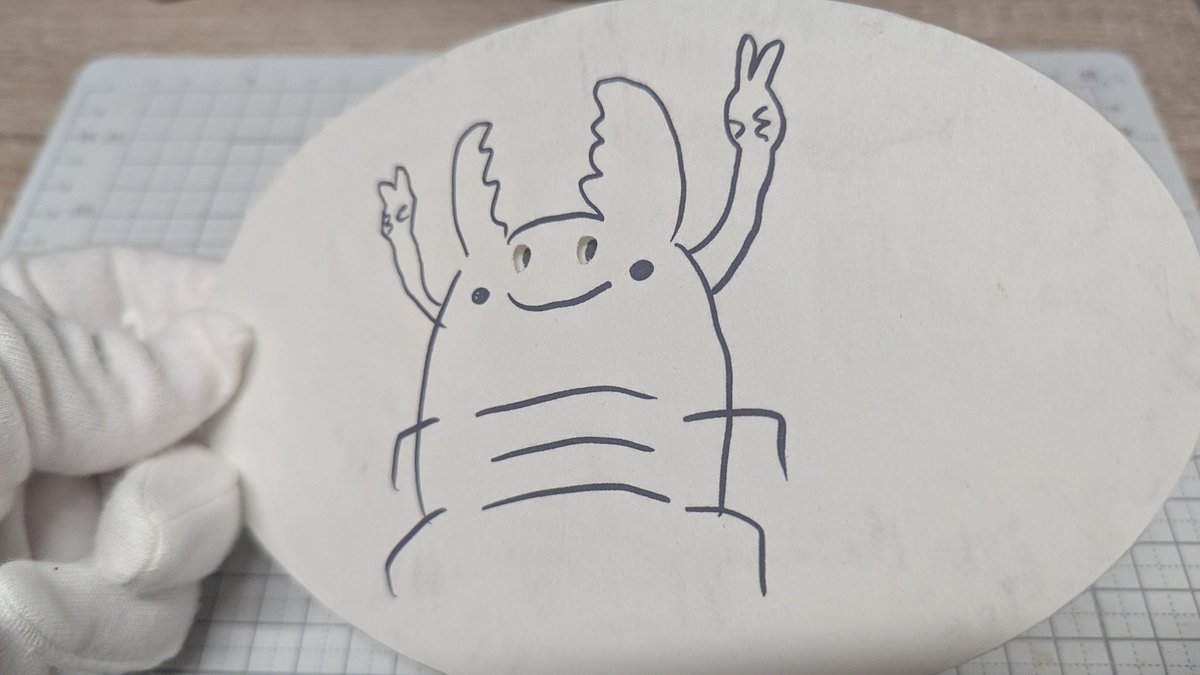 こんなにも目がちっちゃくてもついて来るんやね👀