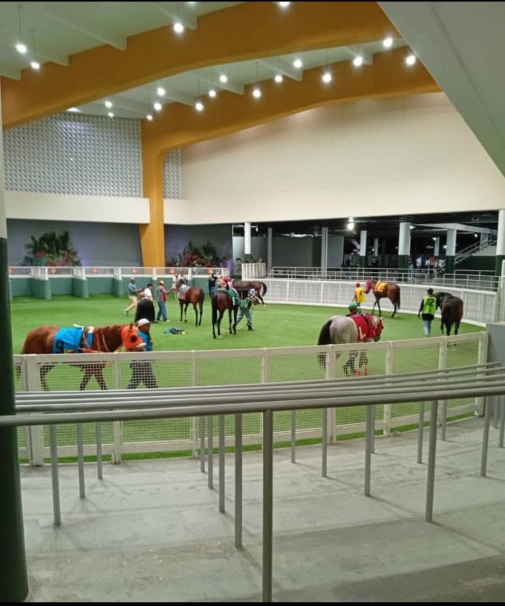 LiderKenny's tweet photo. #Hipismo 🔴ATENCIÓN🔴
Abierta nuestra asesoría VIP para esta semana en #LaRinconada con la mejor y más completa información de todos los tiempos al estilo CATIROTE y PAN DE AZUCAR solo por aquí, Pulso precisión y resultado 💲💲
¡NO DES VENTAJAS!
Suscripción (+58 412.981.30.14) https://t.co/UZRm8g5LQ8