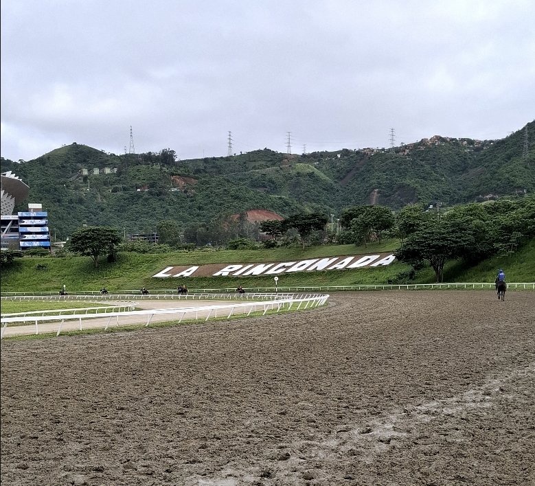 LiderKenny's tweet photo. #Hipismo 🔴ATENCIÓN🔴
Abierta nuestra asesoría VIP para esta semana en #LaRinconada con la mejor y más completa información de todos los tiempos al estilo CATIROTE y PAN DE AZUCAR solo por aquí, Pulso precisión y resultado 💲💲
¡NO DES VENTAJAS!
Suscripción (+58 412.981.30.14) https://t.co/UZRm8g5LQ8