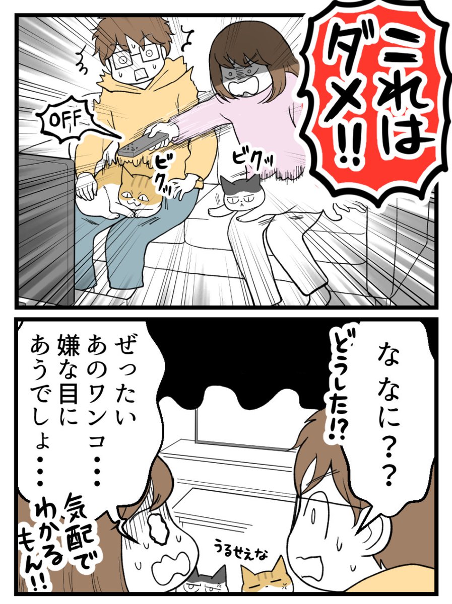(2/3) 