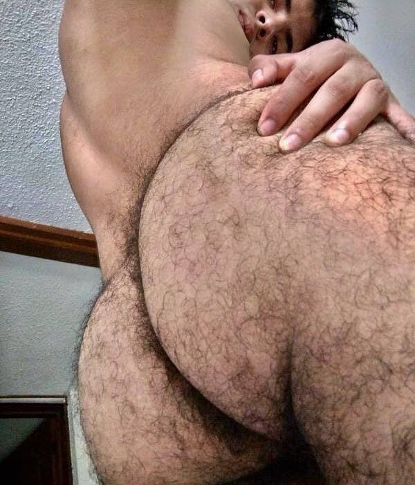 Israel_florin's tweet photo. ¿Ustedes que prefieren mi verga o mi culo peludo?🍑🍆
Sígueme en Instagram: https://t.co/PYaPxQZCf2
Dale retweet para más contenido 🔥 https://t.co/rcSvh03sRp