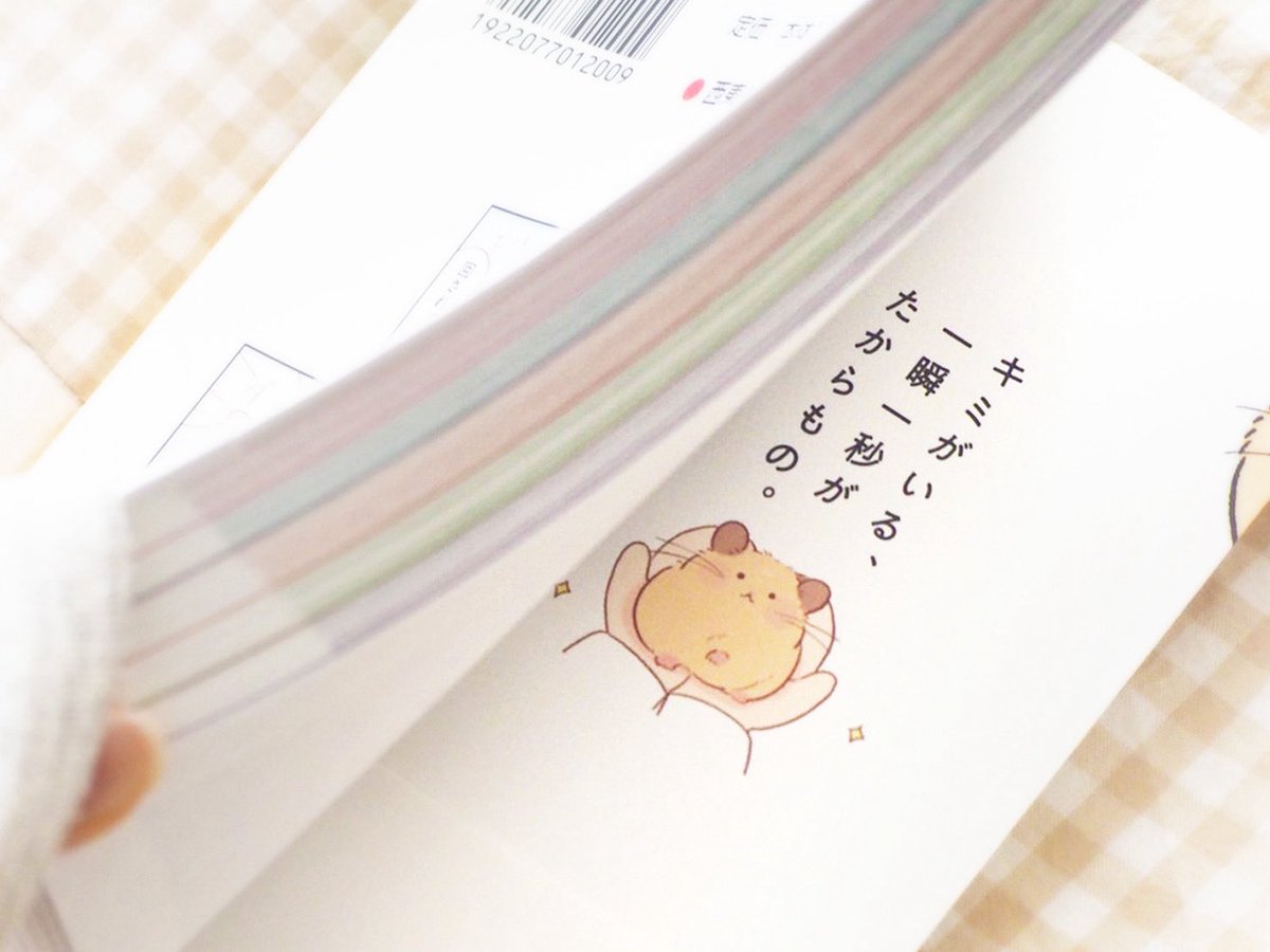 ふじもとめぐみ tweet media