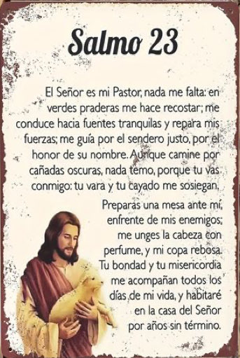 Dios: cocédenos una noche tranquila y un feliz despertar. 
Bendice nuestro descanso, a nuestros padres ancianos y enfermos,  te pido por la recuperación de los enfermos, por las personas que buscan empleo y los que sufren ansiedad.  
<a href="/CucuruchoInfo/">El Cucurucho Informativo</a>