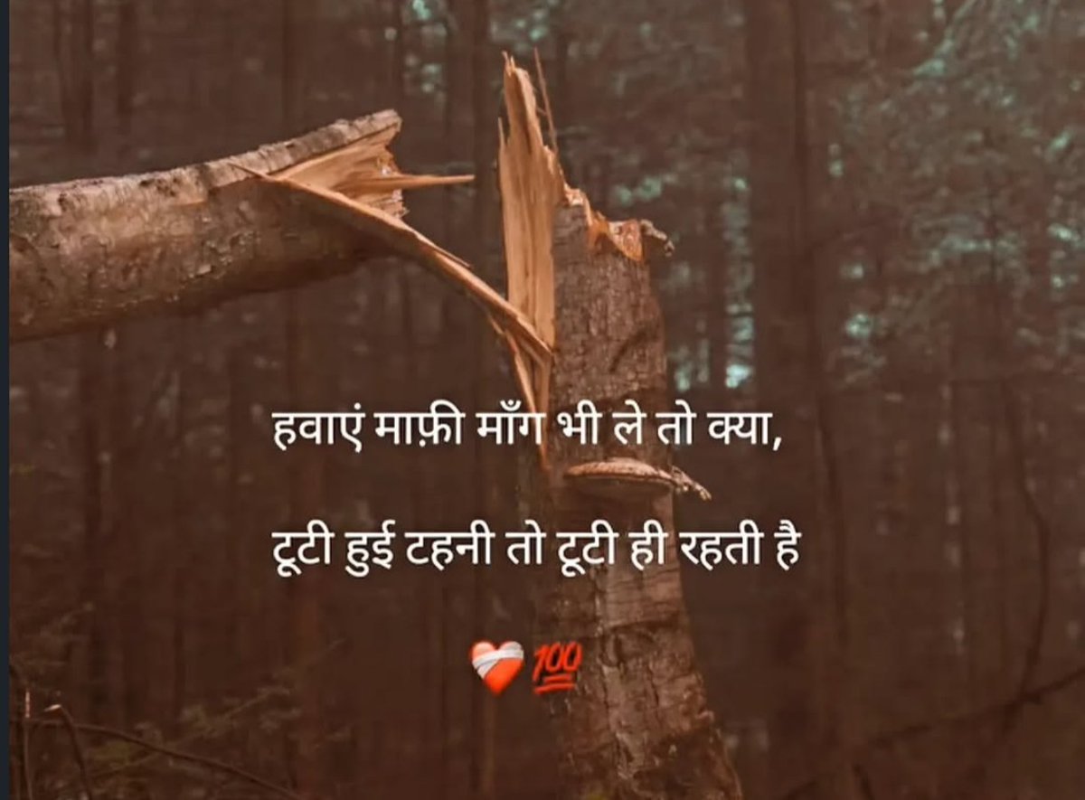 काव्य कुटीर tweet media