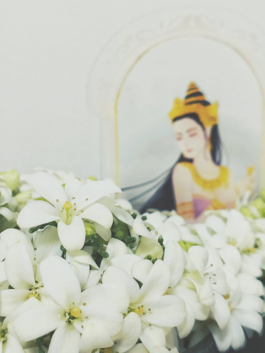 🪷 สร้อยอุบล 🪷 tweet media