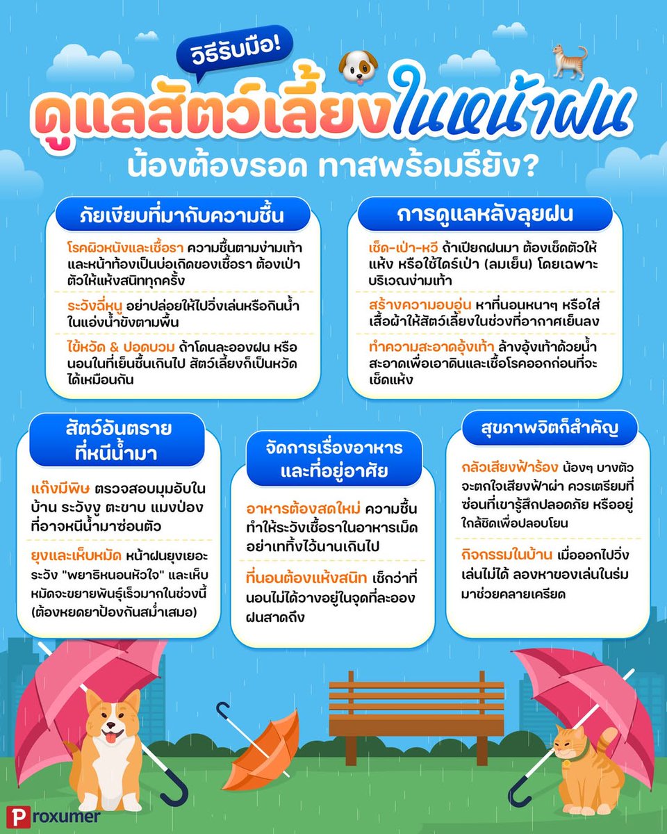 Proxumer - โปรโมชั่น tweet media