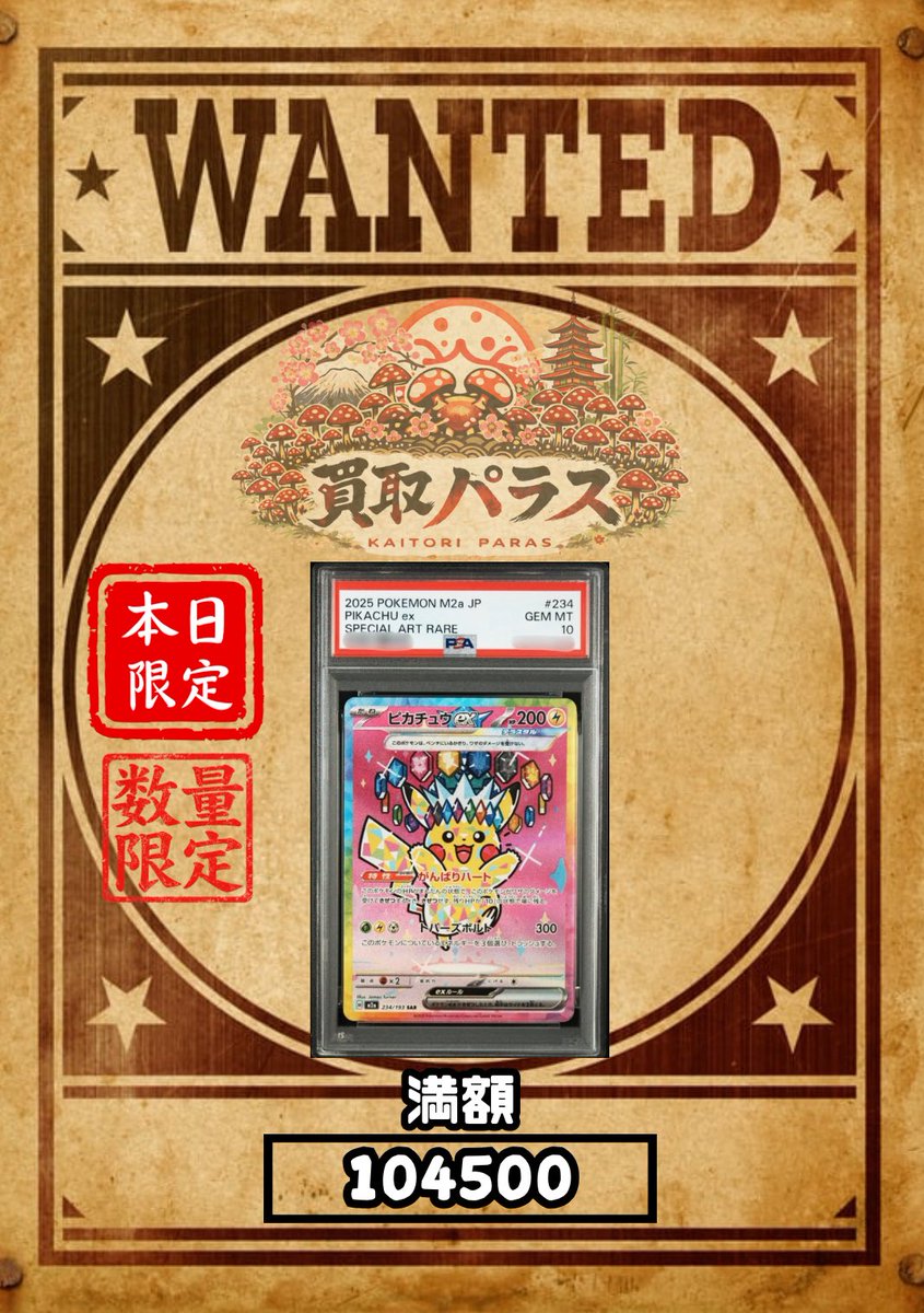 🍄本日のpick up🍄 #ニンジャスピナー #テラスタルフェス