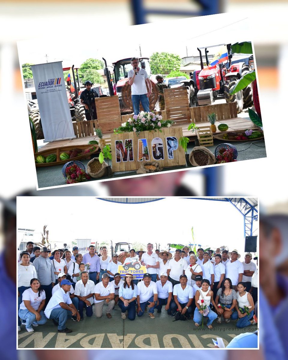 AgriculturaEc's tweet photo. #LosRíos | Impulsamos el desarrollo agropecuario de la provincia con la entrega de servicios y herramientas que benefician a más de 500 productores.

✅ 1 SOMA (1 tractor y su implemento agrícola).
✅ 300 paquetes tecnológicos.
✅ 30 títulos de propiedad.
✅ 3 créditos agroproductivos.
✅ 4 indemnizaciones del seguro agrícola.
✅ Certificaciones técnicas.
✅ 2 parcelas demostrativas.
✅ Personería jurídica para 2 organizaciones.

Tecnificación, productividad y desarrollo para el campo ecuatoriano.

Conoce los detalles aquí 🔽 https://t.co/RqjFCdJwRX

#ElNuevoEcuador
#AgriculturaCumple