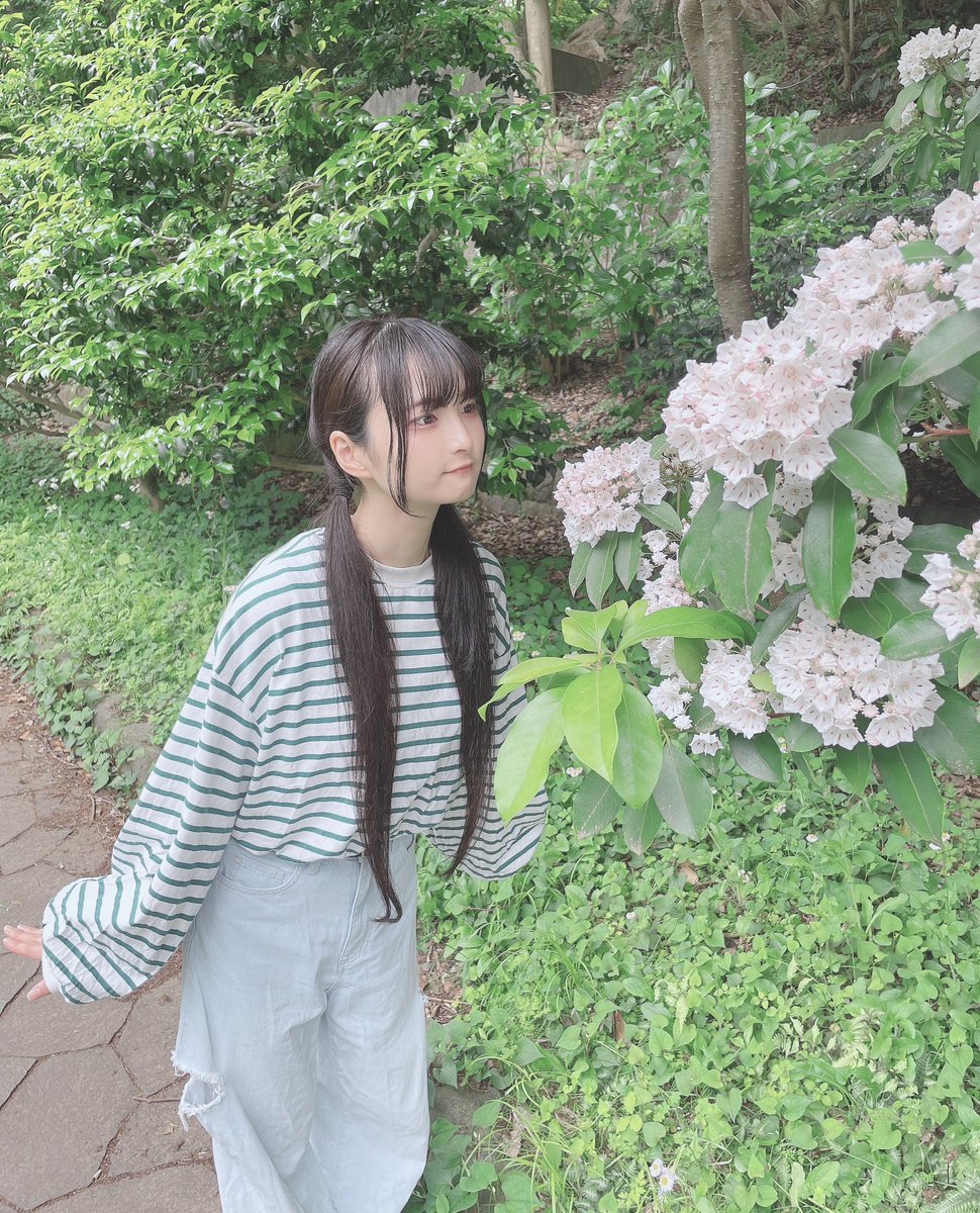 真白莉早 tweet media