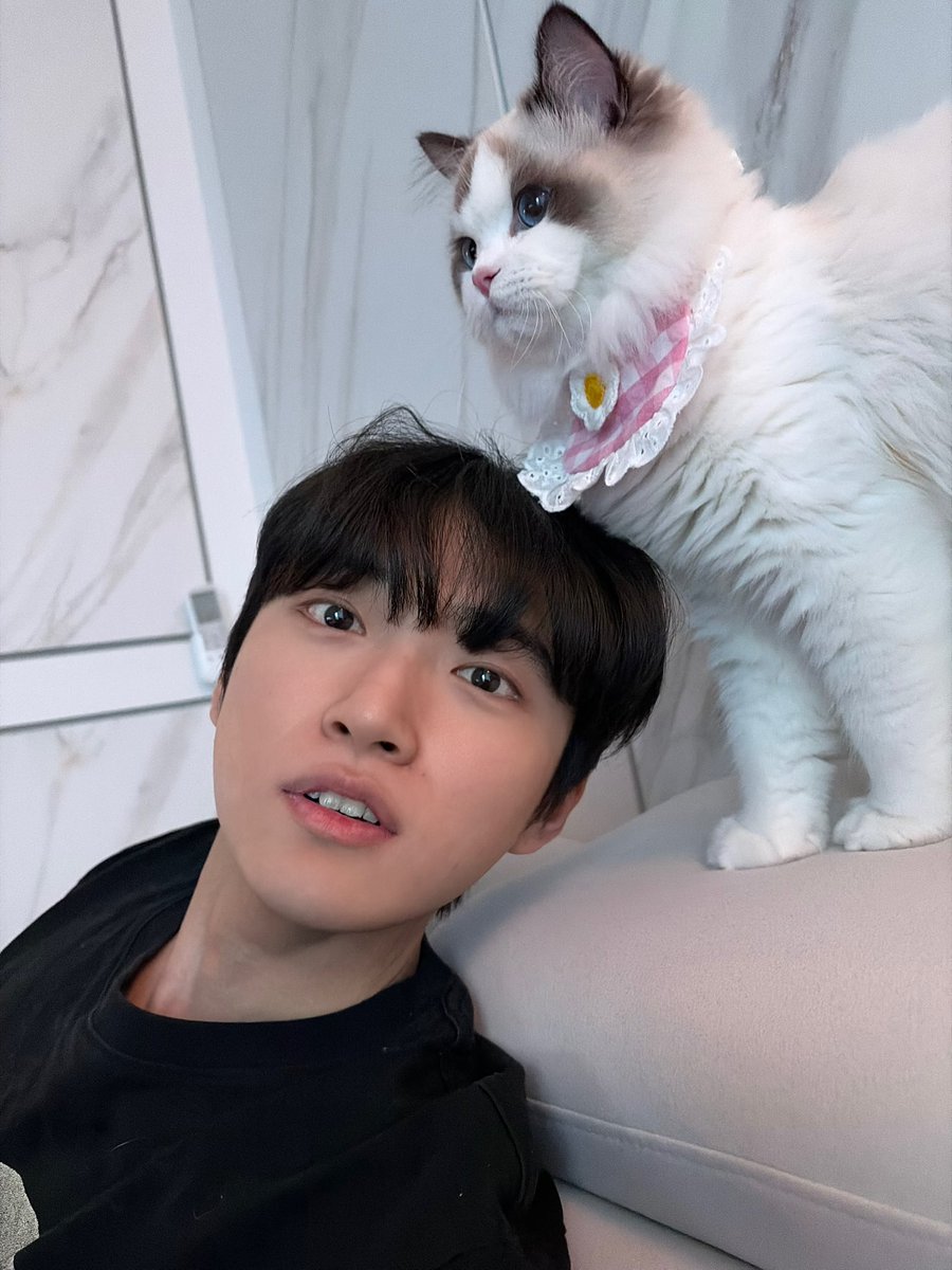 joooooncat's tweet photo. 엑! https://t.co/JV5XJMA9GO