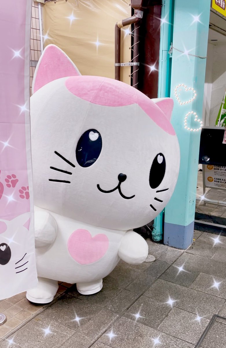 haruhi_trans's tweet photo. 私のプロデュースしてるオリジナルキャラ✨ねこの妖精「りらにゃん」です！
@rela_nyan 

癒し系、かわいいもの好きならぜひフォローお願いします💕 https://t.co/mPCS3ym7CC