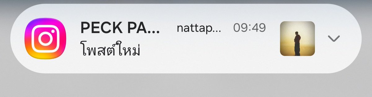 Nutch June 🍀🦋🩷 Love PaLiT 🩷🦋🍀 tweet media