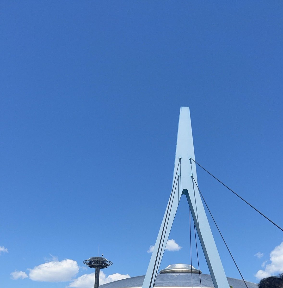えりな tweet media