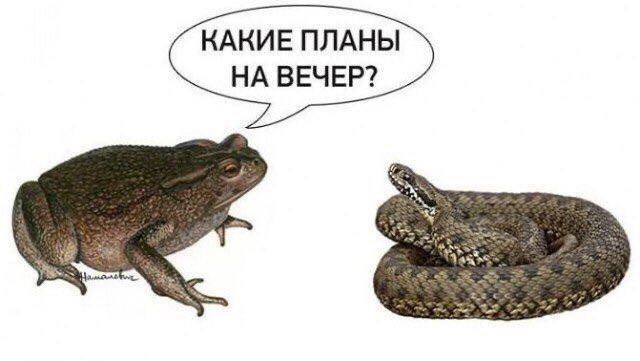 atomnyeboshki's tweet photo. @roman_yuneman https://t.co/oLUdltebax