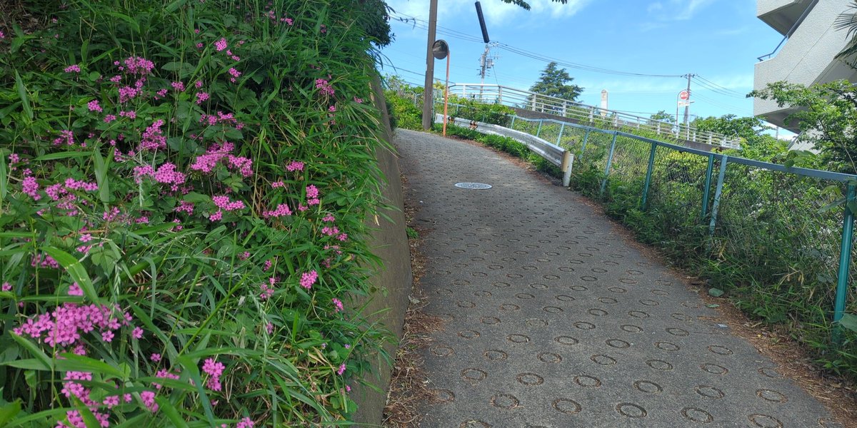 nagisaboys's tweet photo. 午前中は藤沢本町の白旗神社をスタート湘南台駅付近まで1時間ほどの行程 #runandwalk #街道歩き #八王子道滝山道 https://t.co/Gy3hfP64P4