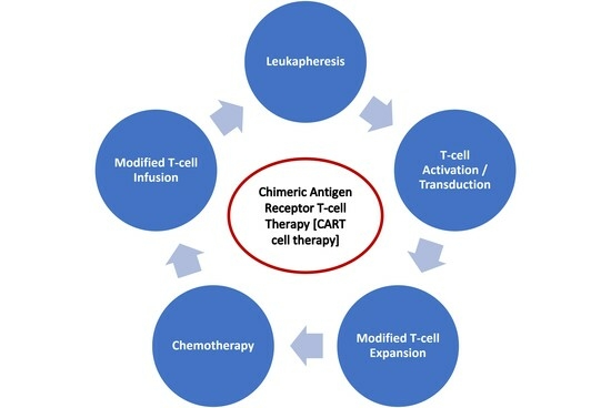 Biomed_MDPI's tweet photo. 🖼 Graphical Abstract | Explore the key findings through graphics 
📌 Current Technologies and Future Perspectives in Immunotherapy towards a Clinical Oncology Approach
🔗 https://t.co/LZla4xZYrN
#VisualResearch 
@MDPIOpenAccess @MDPIBiologySubj https://t.co/4qiTl0GOTv
