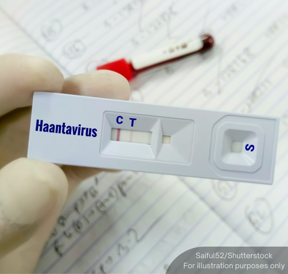 The WHO has reported six confirmed hantavirus cases tied to an outbreak on a Spain-bound cruise ship, which has resulted in three deaths so far.

Indonesia also reported two suspected cases in Jakarta and Yogyakarta.

Meanwhile, both Singapore residents who were earlier