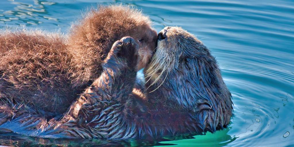3CEnergy's tweet photo. This Mother's Day, we're thinking about all the women who work tirelessly to create a better world for the next generation — at home, in their communities, and beyond.
That's an energy we recognize. 💚 Happy Mother's Day. 🌸 https://t.co/HOWQgeetQZ