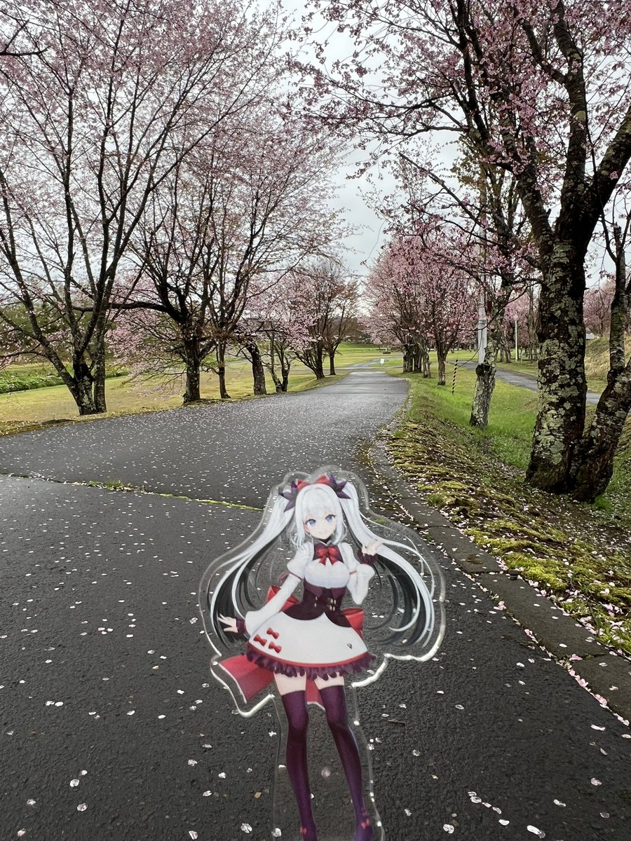 鶴居いづる🌽「鶴居村」 tweet media