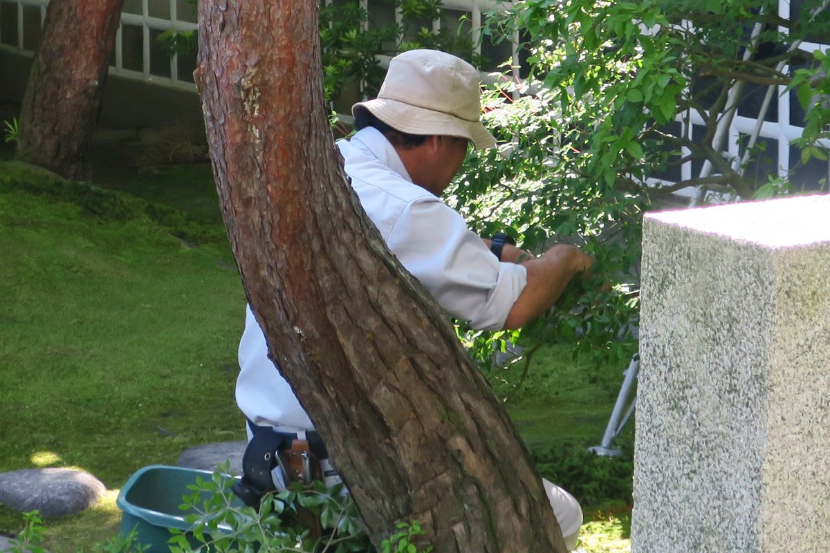 【公式】足立美術館／Adachi Museum of Art tweet media