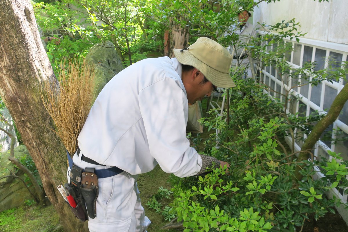 【公式】足立美術館／Adachi Museum of Art tweet media