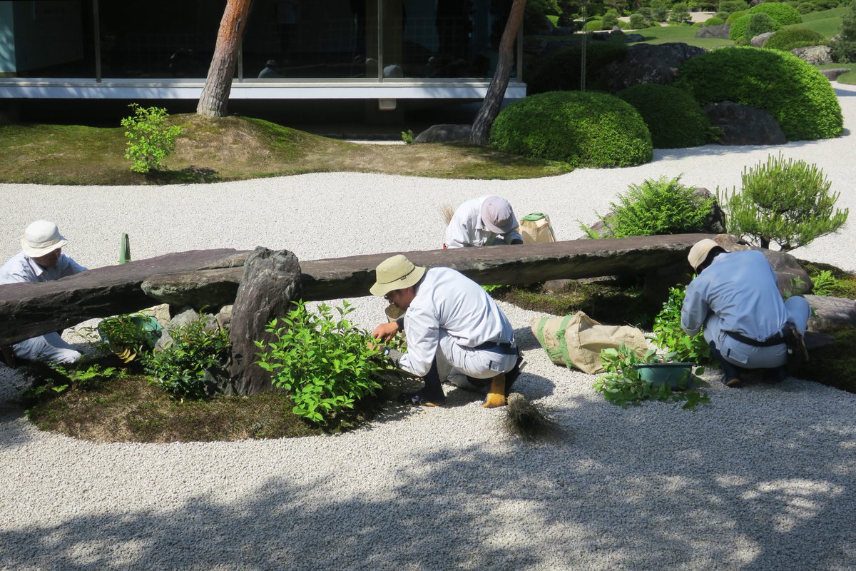 【公式】足立美術館／Adachi Museum of Art tweet media