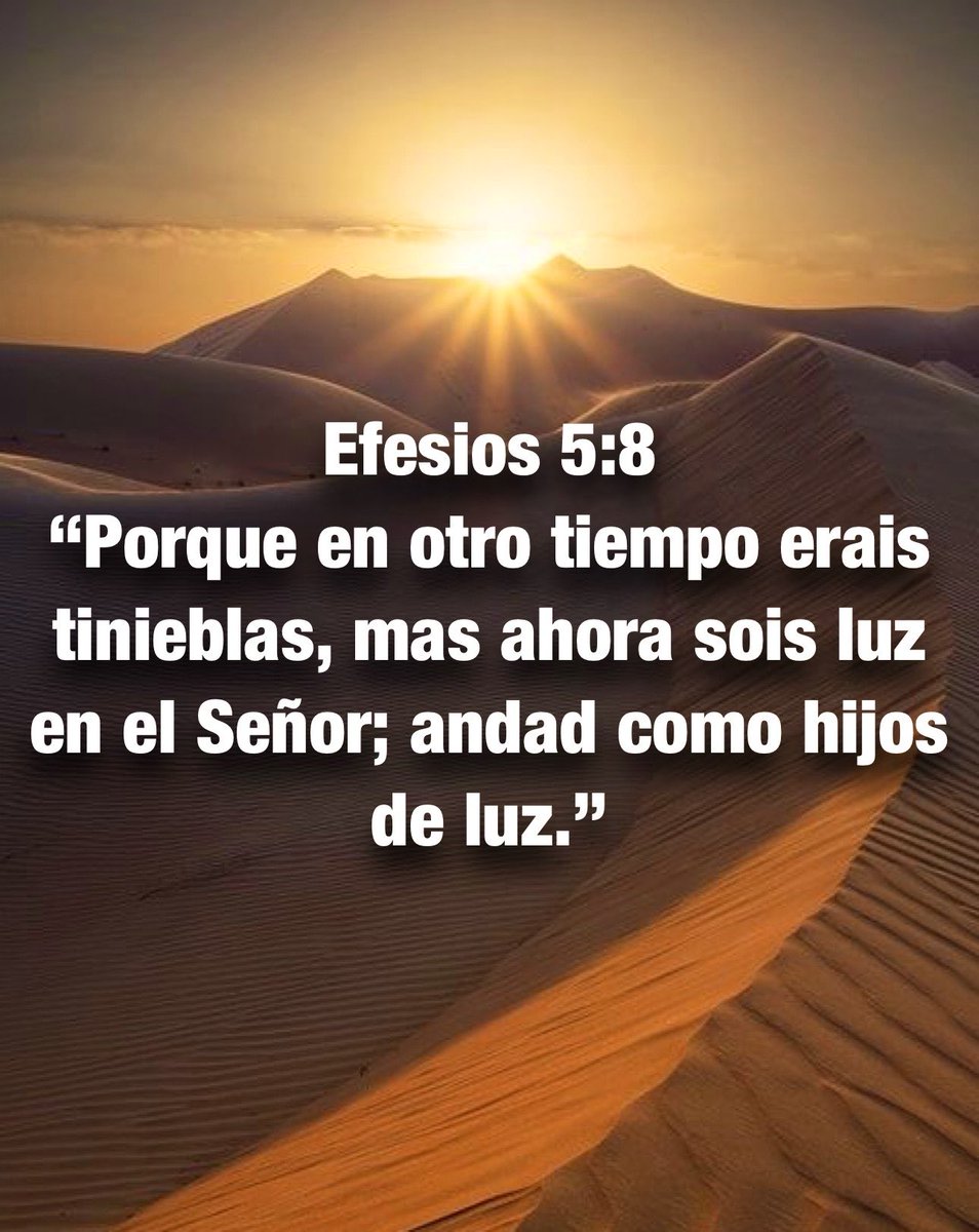 Carmen Lopez tweet media