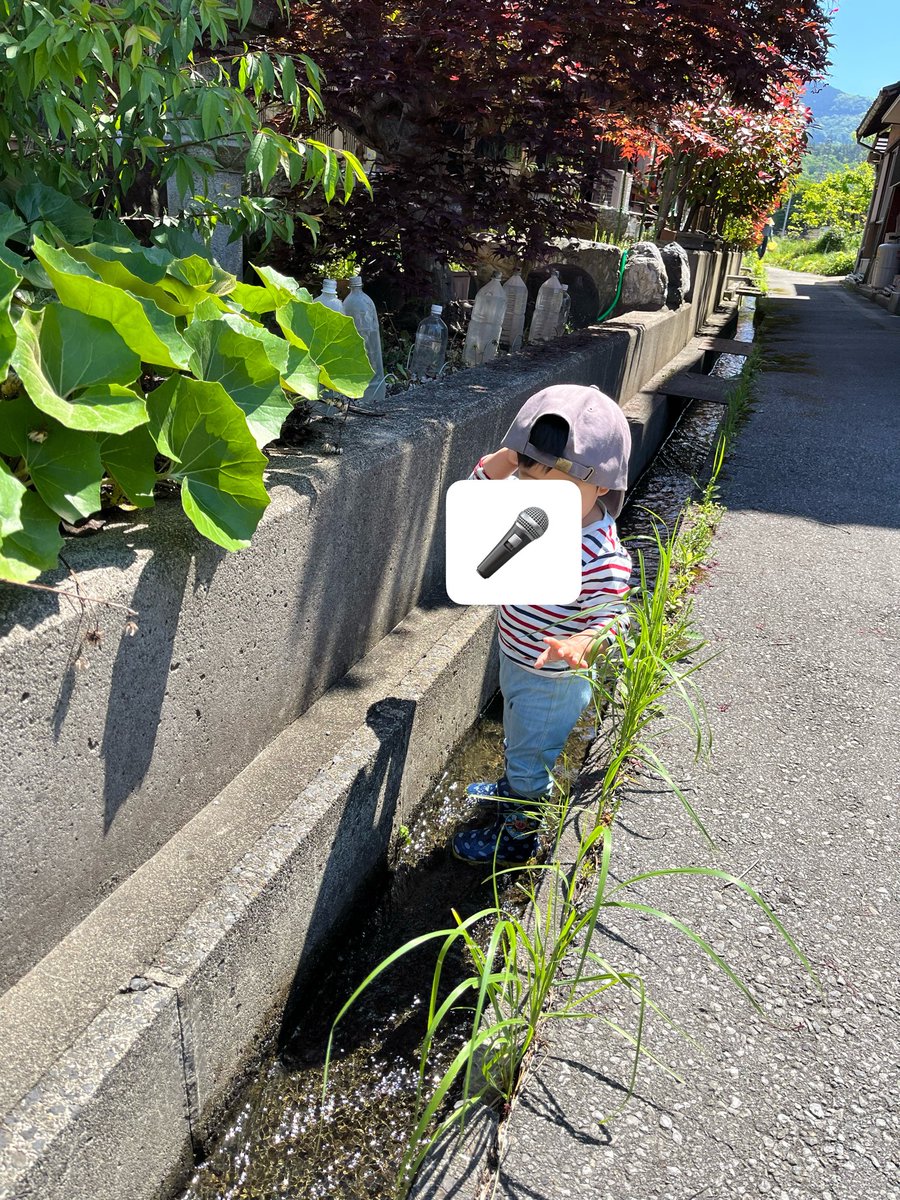 24kawayuzuka's tweet photo. とうとうまなむすがお歌を歌いました👏
人生初のお歌は「月」でーたでーた月がー♪のやつです🤦🏻‍♀️
皆様の人生初のお歌は？？ https://t.co/2AChZgbCCU
