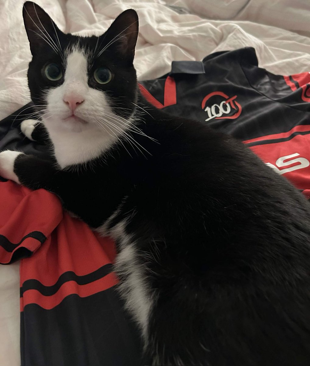 100T vora tweet media