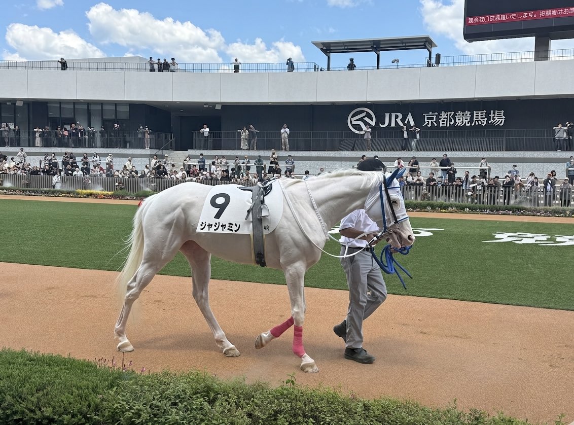 srt___222's tweet photo. じゃじゃみ〜😭デビューおめでとう！
デビュー戦も無事完走できてよかった！ https://t.co/o6wl23jEsT
