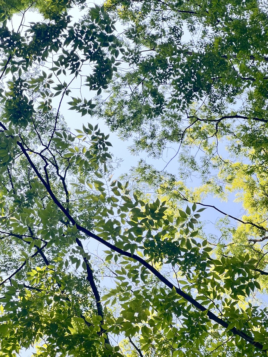 uramisan's tweet photo. 近ごろは感性ではなく感情に触れてばかりいて、過敏であり、愚鈍であり、持て余している。 https://t.co/Y3W3U0qIsI