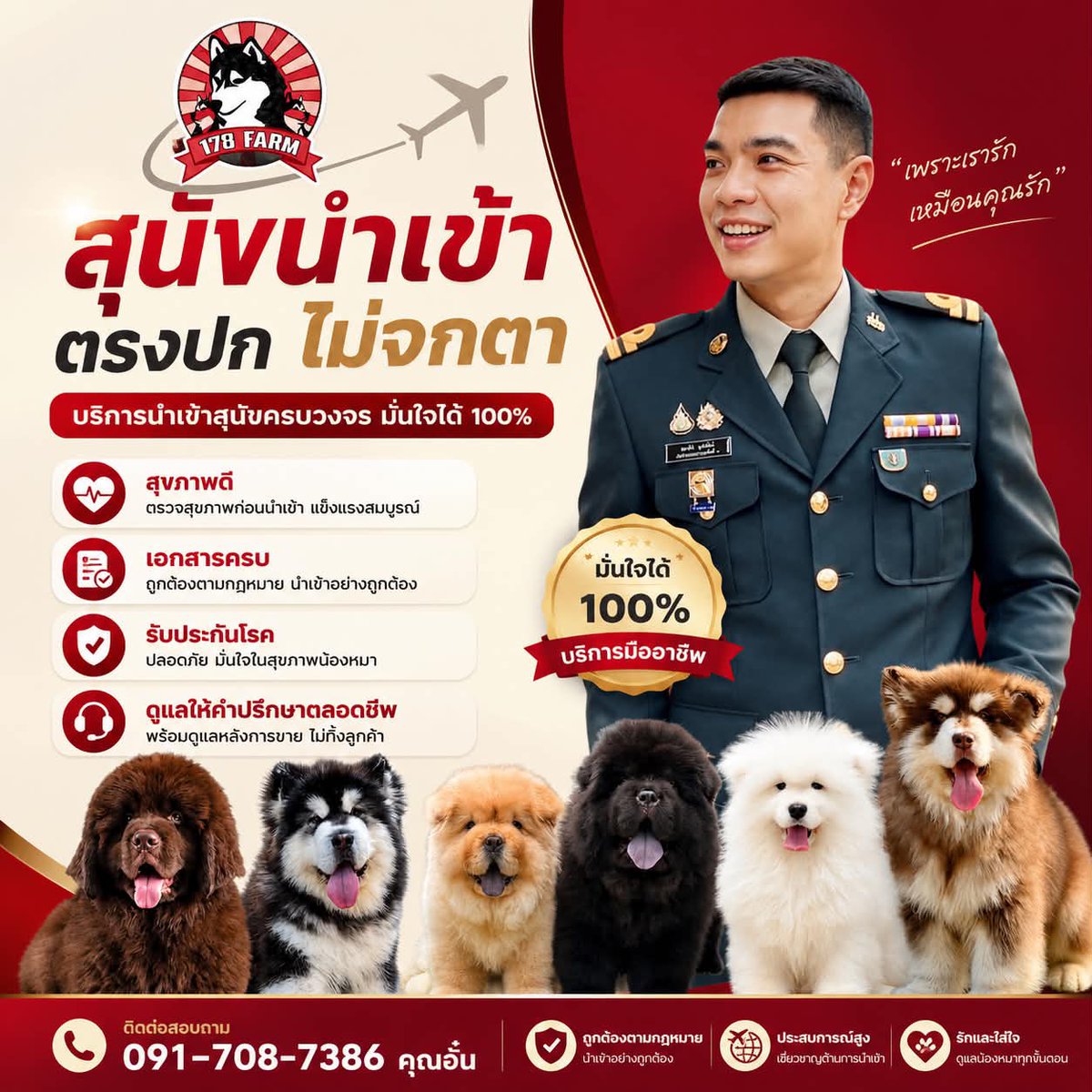 Puppyinth's tweet photo. #ฟาร์มสุนัข ในไทย และนำเข้าจากต่างประเทศ เกรดพรีเมียม
♨️ มีประวัติการทำวัคซีน
♨️ มีใบเพ็ดดีกรี
♨️ ส่งได้ทั่วประเทศ

ติดต่อสอบถามได้ที่ 
โทร : 091-7087386 / 087-1697897
Line : aunzers
https://t.co/ED55KWsluj
 https://t.co/T37siGQau3
https://t.co/4Z6iBjuun4
#สุนัขนำเข้า #ขายสุนัข https://t.co/ikuwLhSkPU