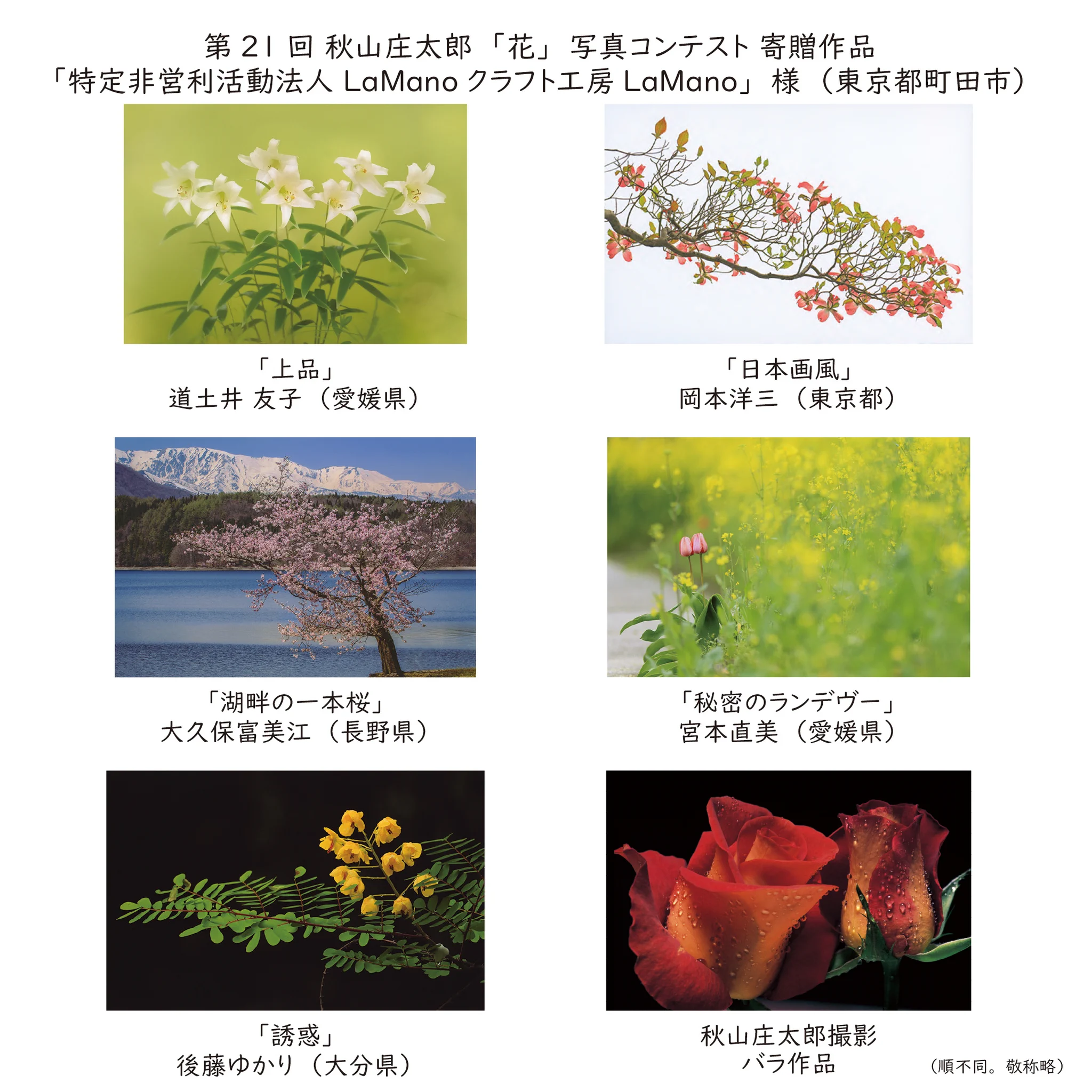 秋山庄太郎のオリジナルプリントです。「K嬢」素敵な写真です。 秋山庄太郎写真芸術館 (@shotaro_akiyama) / X