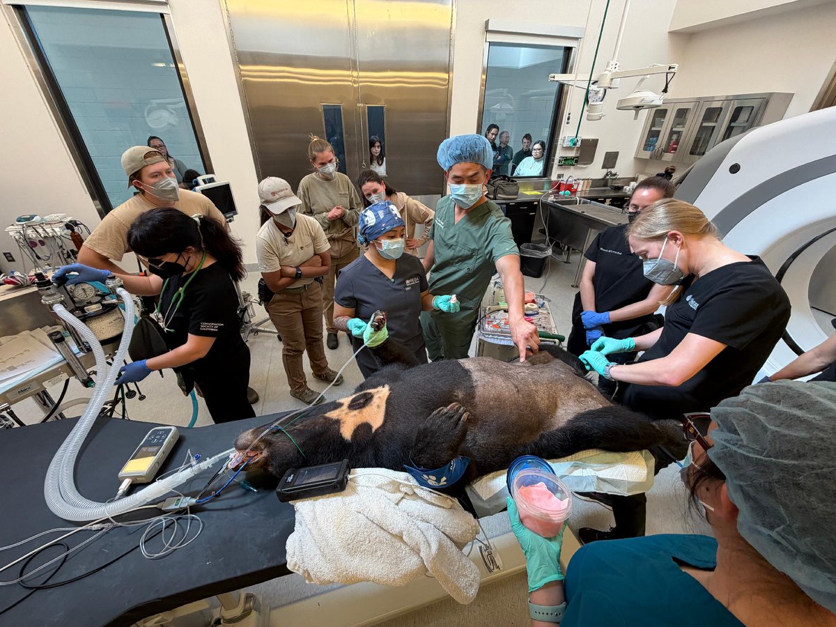 Oakland Zoo tweet media